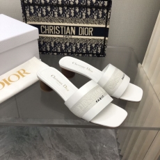 Christian Dior Slippers